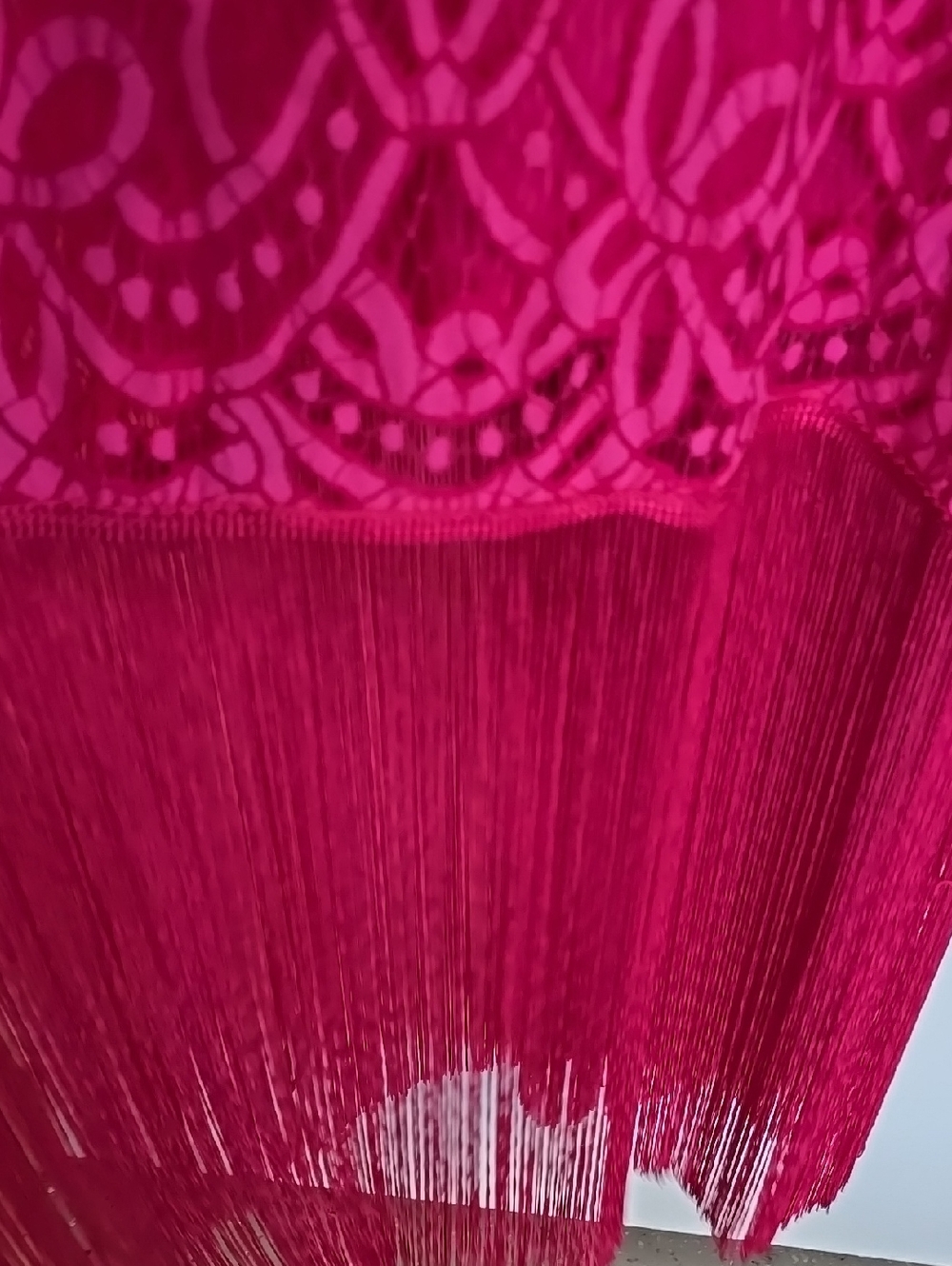 Boston Proper Very Berry Lace V-Neck Maxi Dress w Fringe Hem Sleeveless L NWT - Picture 7 of 11